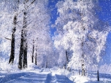 Климат Рязани